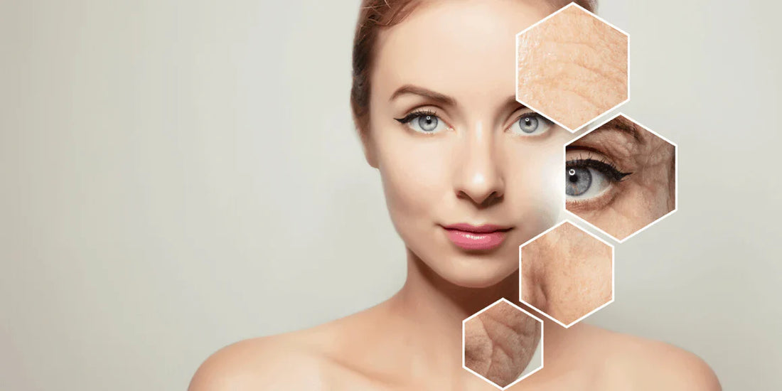 Rinkgo Anti-Aging Formula by Nutrify