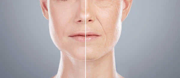 https://aab.com.pk/collections/wisdom-pharma/products/rinkle-cream