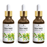 Buy TEA TREE Essential Oil - TTE For Skin  & Heal Wounds By Glowrify With Best Price In Pakistan